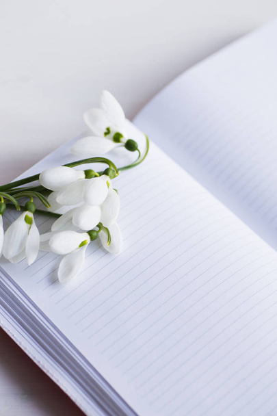 Beautiful white snowdrops with open notebook on white background - Fotó, kép