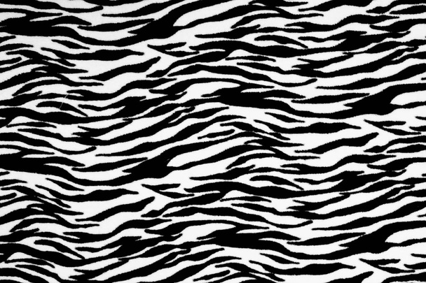  Zebra background, black and white - Foto, immagini
