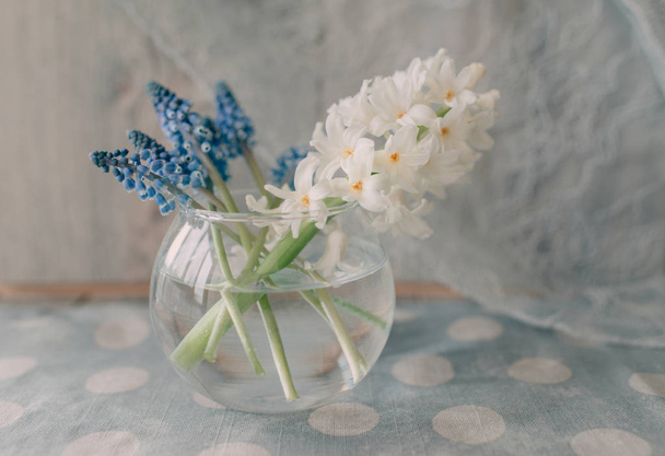 Ronde glazen vaas met hyacint - Foto, afbeelding