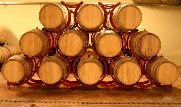 bodega con barricas de vino _ 2
 - Foto, Imagen