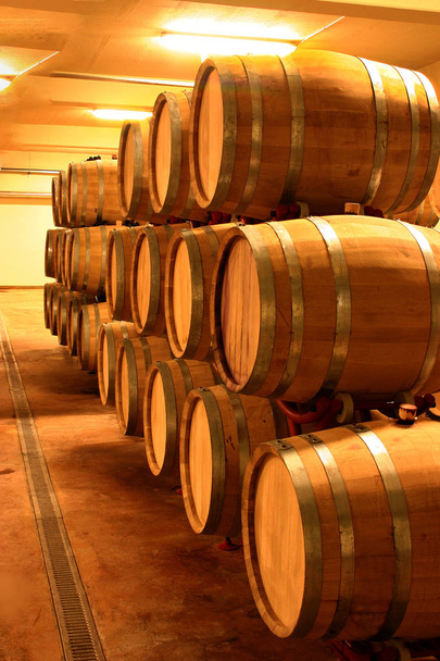 adega cheia de barris de vinho
 - Foto, Imagem