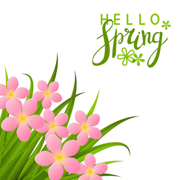 Spring background with pink flowers - Вектор,изображение
