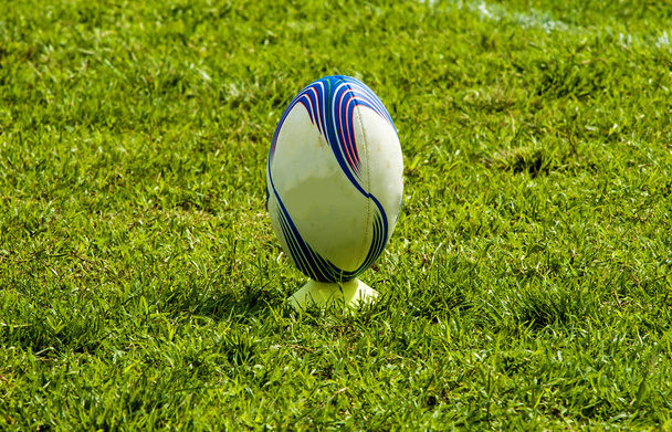 Мяч для регби на зеленой траве
 - Фото, изображение