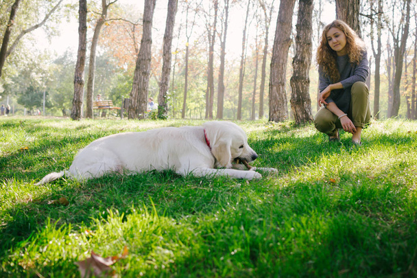 Young female playing with dog  - Zdjęcie, obraz