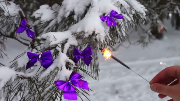 Διακοσμημένο δέντρο χιονισμένο δάσος με λιλά κορδέλες και Βεγγάλης φωτιά σε ένα γυναικείο χέρι - Πλάνα, βίντεο
