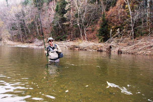 Fisherman caught a grayling in a mountain river  - Foto, afbeelding