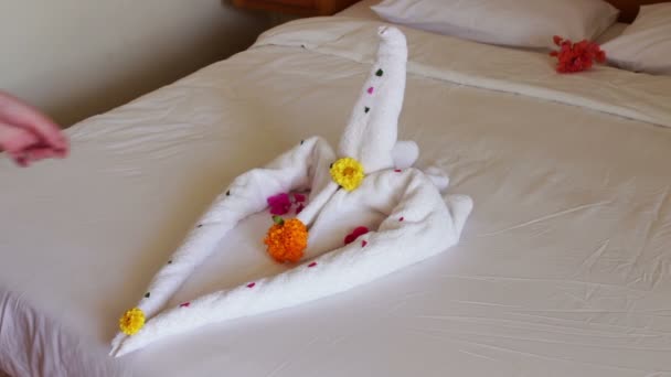 Romantisches Hotelzimmer mit Schwanentüchern - Filmmaterial, Video