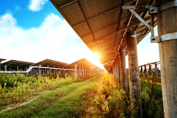 再生可能エネルギーの電気の生産は、ナバラ、アラゴン、スペインの太陽光発電パネル. - 写真・画像