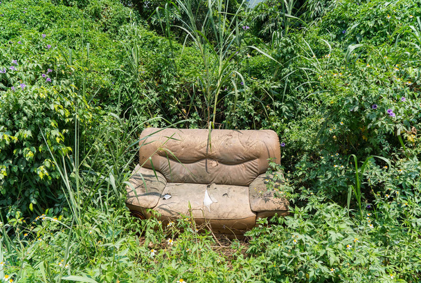 диван покинутий на траві
 - Фото, зображення