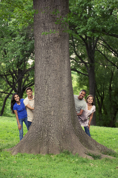 Teenage friends spending time together at tree - Fotó, kép