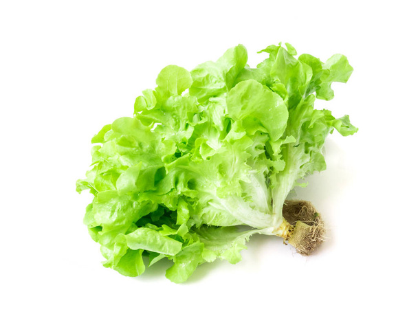 Ensalada de lechuga verde fresca vegetal sobre fondo blanco
 - Foto, Imagen