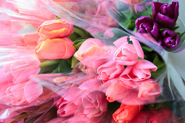 Букети з тюльпанів. Свято весни. Весняні квіти. Міжнародний жіночий день. День матері - Фото, зображення