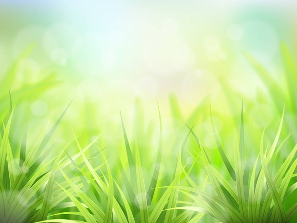 vihreä ruoho ja vaikutus bokeh
 - Vektori, kuva