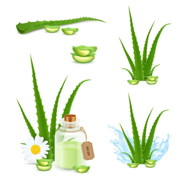 Ícones de Aloe vera
 - Vetor, Imagem