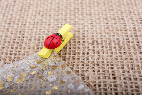 Ladybug icon  attached to Clothespin - Photo, Image