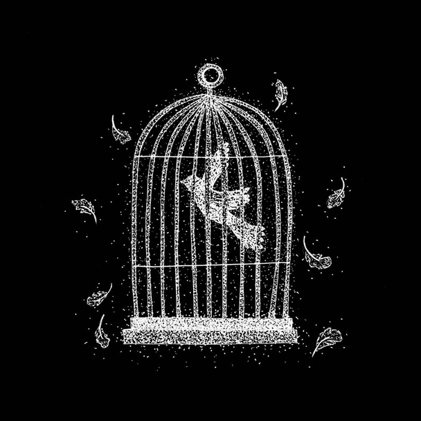 pájaro en una jaula sobre negro
 - Foto, Imagen