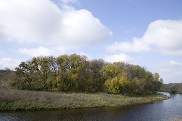 de rivier heeft herfst landschap - Foto, afbeelding