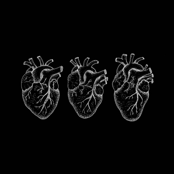Tres corazones humanos sobre negro
 - Foto, Imagen