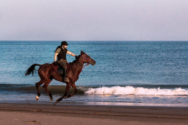 Zawodnicy na koniu jeździ na plaży. zachód słońca. Seascape - Zdjęcie, obraz