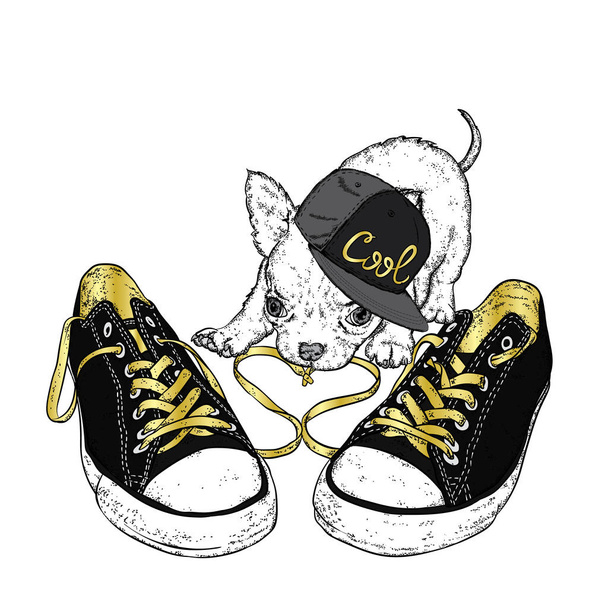 Cute puppy playing with sneakers. Vector illustration for a card or poster. Print on clothes. - Vektor, Bild