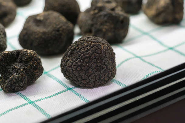 black truffle mushroom - Photo, Image