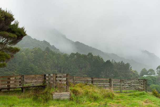 Туманный пейзаж в мокрый день в Северной Новой Зеландии
 - Фото, изображение