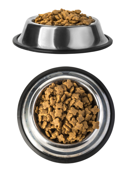 Dog food in bowl, isolated - Photo, Image