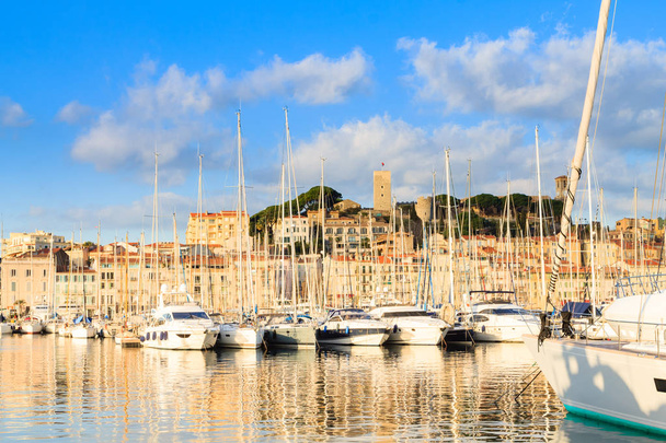 港やマリーナ、フランスのカンヌで - 写真・画像