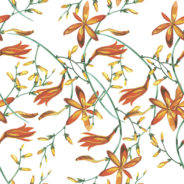Elegance seamless pattern in vintage style with Crocosmia flowers - Вектор,изображение