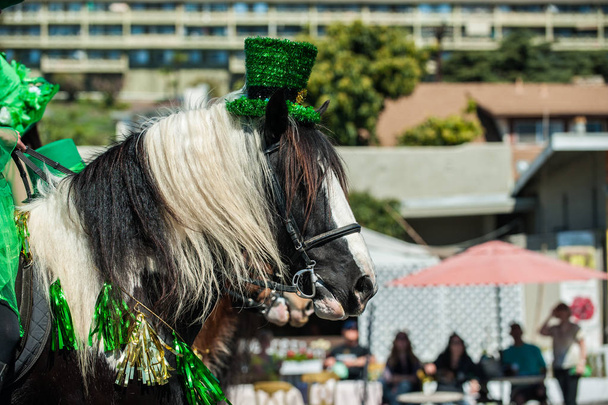 Clydesdale άλογο φορώντας εορταστικά καπέλο. - Φωτογραφία, εικόνα