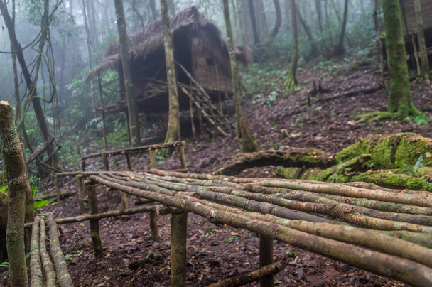 Orang Asli kylä viidakossa lähellä Cameron Highlands, Malesia
 - Valokuva, kuva