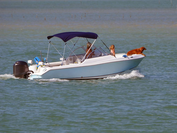 Моторний човен на Флорида внутрішньо прибережних водний шлях - Фото, зображення
