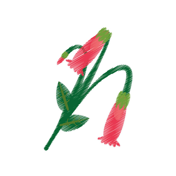 rajz fukszia virág dísz - Vektor, kép