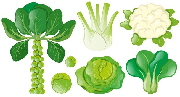 Διάφορα είδη πράσινων λαχανικών - Διάνυσμα, εικόνα