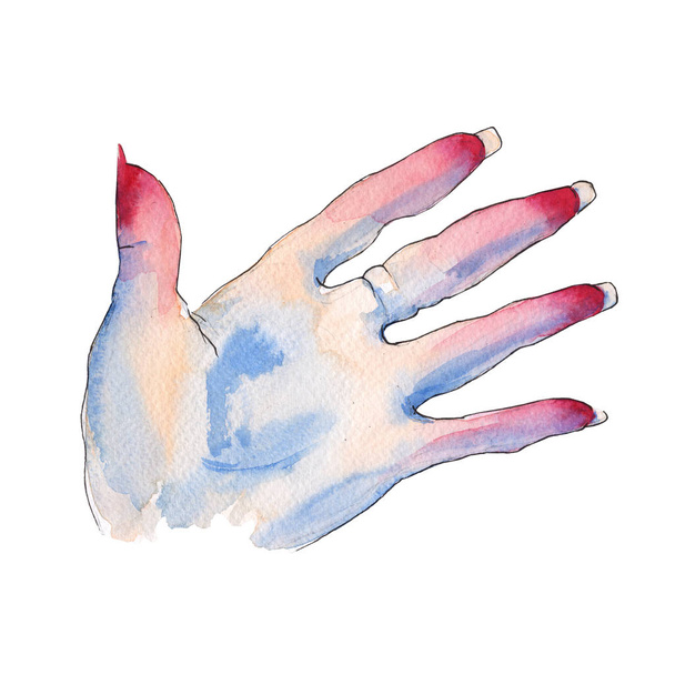 Gesto con le dita. La mano di una donna. Illustrazione ad acquerello
. - Foto, immagini