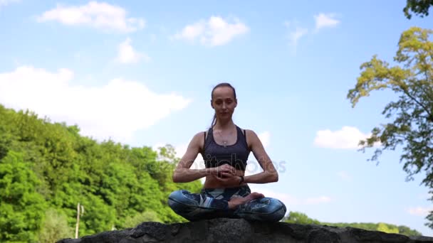 Νεαρή γυναίκα που κάνει γιόγκα στο πράσινο πάρκο - Πλάνα, βίντεο