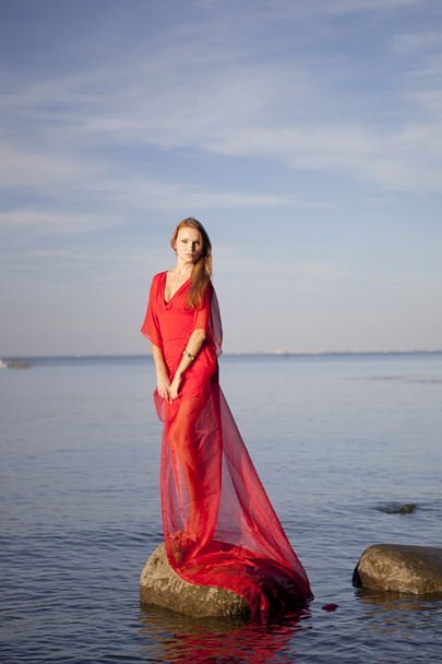 A young girl in a red dress standing on the shore - Foto, Imagen