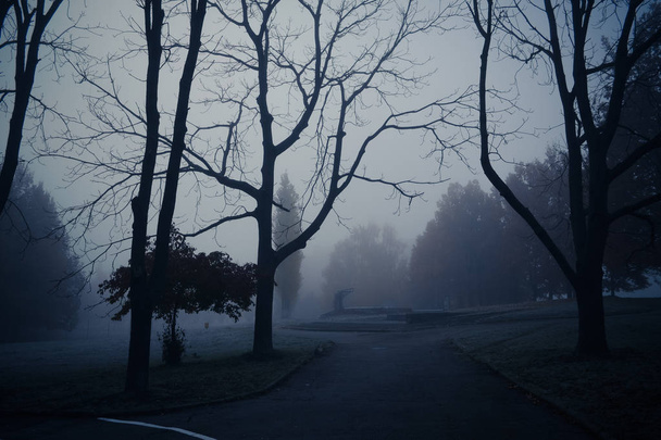 Niebla mística de otoño por la mañana en el parque. Troncos oscuros de plantas
.  - Foto, Imagen
