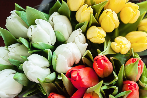 Close-up van boeketten van kleurrijke tulpen, rood, geel, wit in b - Foto, afbeelding