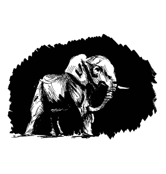 Hand sketch of an elephant on a black background - Vetor, Imagem
