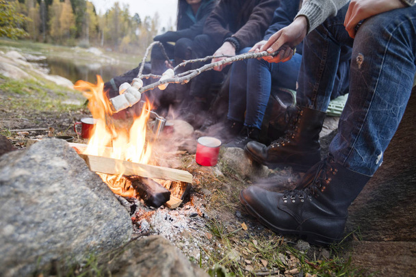 Friends Roasting Marshmallows Over Campfire At Lakeshore - Foto, Imagem