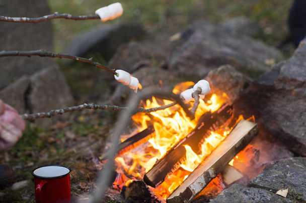 Marshmallows On Sticks Roasted Over Camping Fire - Foto, Imagem