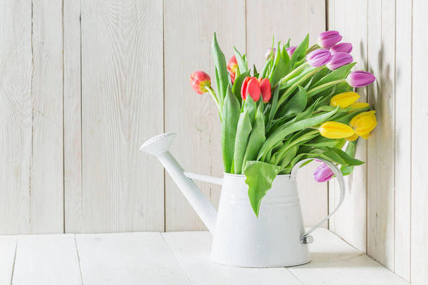 A colourful and young tulip on a white table - Valokuva, kuva