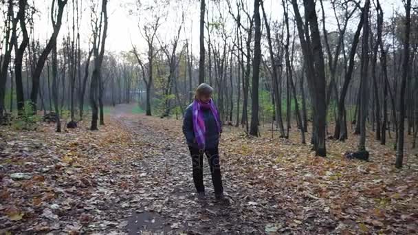 Senior woman with short hair and glasses on her eyes walking in autumn woods. - Footage, Video