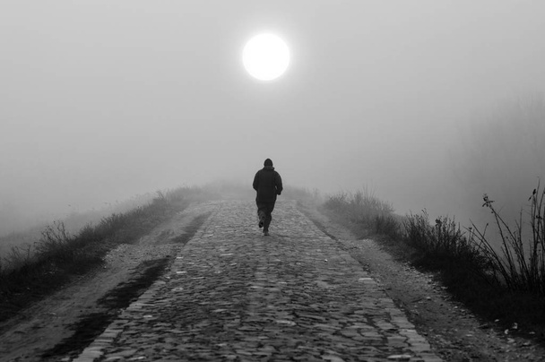 Homme courant dans la nature le jour d'automne brumeux en noir et blanc
 - Photo, image