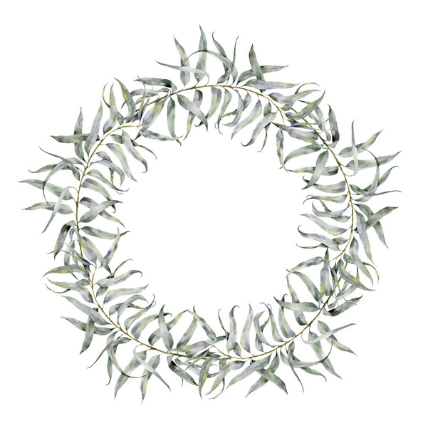 Corona floral de acuarela con hojas de eucalipto. Corona floral pintada a mano con ramas, hojas de eucalipto aisladas sobre fondo blanco. Para diseño o fondo
 - Foto, Imagen