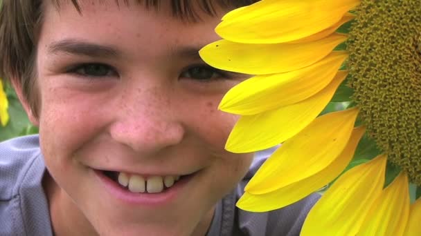 Boy Beside Sunflower - Footage, Video