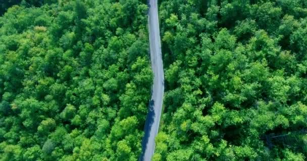 Blick von oben auf einen Waldweg. Straße in der Mitte der Front - Filmmaterial, Video