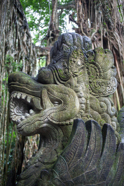 Maymun ormanındaki Dragon Köprüsü. Bali.Indonesia - Fotoğraf, Görsel