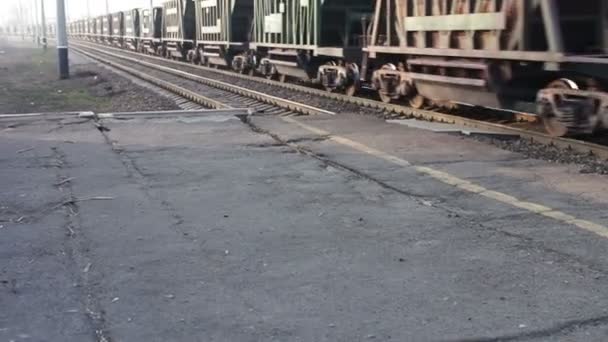 Vracht trein rijdt over de spoorweg - Video